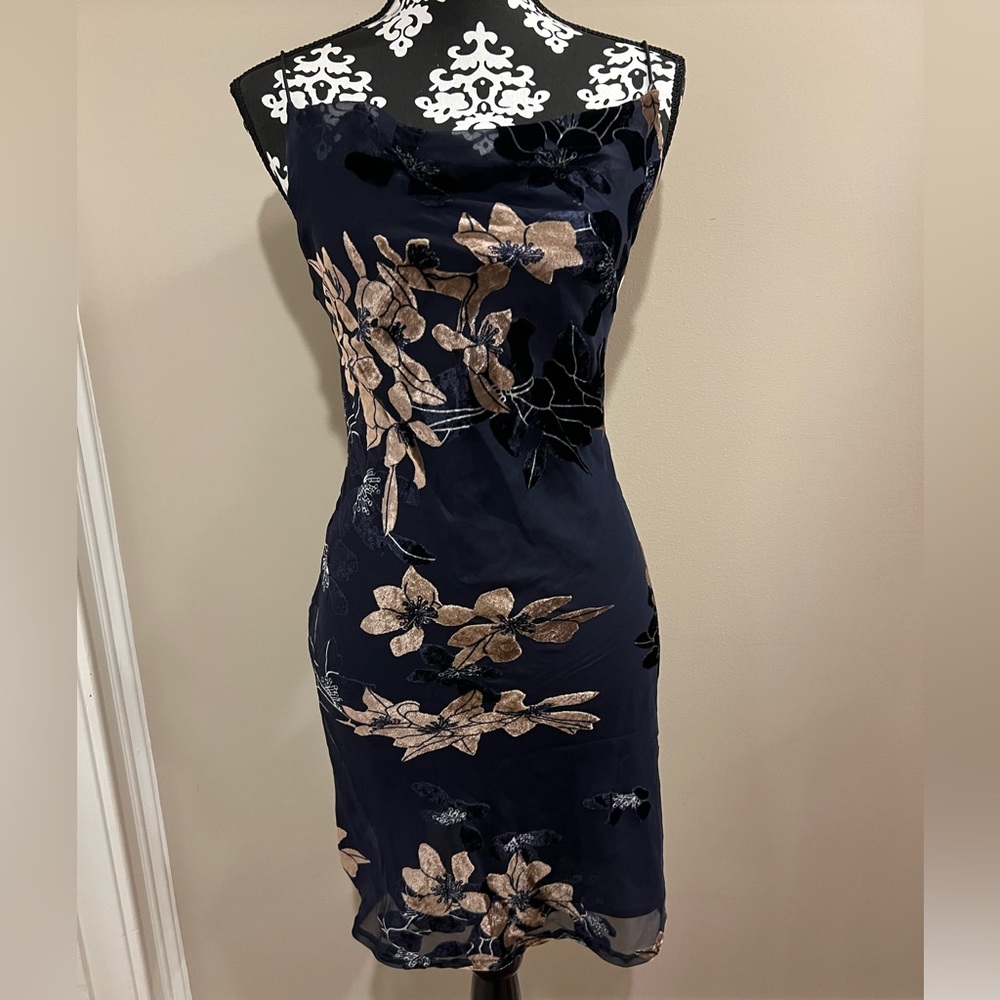 RoseBullet Velvet Mini Dress